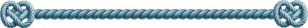 Blue Rope Divider image